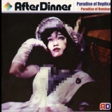 After Dinner - Paradise Of Replica/Paradise Of Remixes '1989