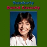 David Cassidy - The Higher They Climb The Harder They Fall '1975