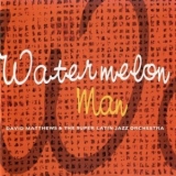 David Matthews - Watermelon Man '1997