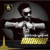 Shaggy - Intoxication '2007
