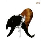 Coil - Black Antlers '2004