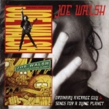 Joe Walsh - Ordinary Average Guy & Songs For A Dying Planet '2012