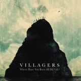Villagers - Where Have You Been All My Life? '2016