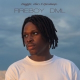 Fireboy DML - Laughter, Tears & Goosebumps '2019 - Album