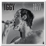 Iggy Pop - Iggy 1977 '2010