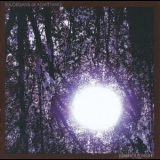 Six Organs Of Admittance - Luminous Night '2009