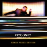 Incognito - Transatlantic R.P.M. '2010 - Album