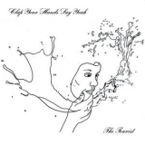 Clap Your Hands Say Yeah - The Tourist '2017 - Album