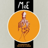 MoE - Examination Of The Eye Of A Horse '2016 - Album