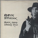 Robyn Hitchcock - Black Snake Diamond Role '1981