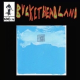 Buckethead - Home In The Sky '2024 - Album