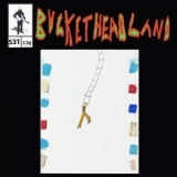 Buckethead - The Enigma of the Chariot '2023