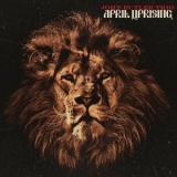 John Butler Trio - April Uprising '2010