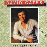 David Gates - Take Me Now '1981