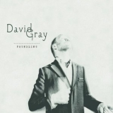 David Gray - Foundling '2010 - Album