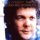 Steve Forbert - Thirteen Blood Red Rosebuds '2009 - Album