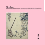 Merzbow - Nine Studies of Ephemeral Resonance Volume 1 '2024 - Album