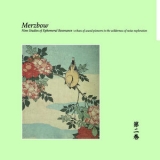 Merzbow - Nine Studies of Ephemeral Resonance Volume 2 '2024 - Album