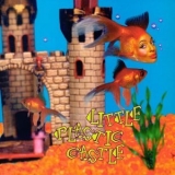 Ani Difranco - Little Plastic Castle '2023