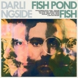 Darlingside - Fish Pond Fish '2020