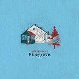 Pinegrove - Amperland, NY '2021 - Album