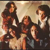 Flamin Groovies - Flamingo '1970 - Album