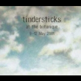 Tindersticks - Live At The Botanique '2001