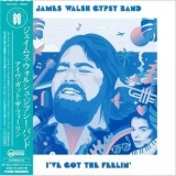 James Walsh Gypsy Band - Ive Got The Feelin '1979