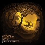 Joshua Burnell - Flowers Where The Horses Sleep '2020 - Album