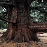 Angela Maria - Redwood Tree '2019 - Album