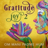 Paul Avgerinos - Gratitude Joy 2 '2020 - Album