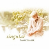 David Wahler - Singular '2024