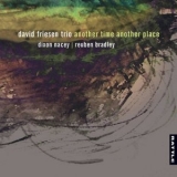 David Friesen Trio - Another Time Another Place '2017 - Album