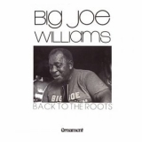 Big Joe Williams - Back to the Roots '2023 - Album