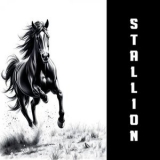 Stallion - Old Fashioned Boy '2024