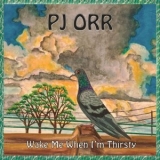 PJ Orr - Wake Me When Im Thirsty '2024