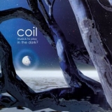 Coil - Musick To Play In The Dark2 '2000