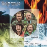 Wolfe Tones - 25th Anniversary '1989