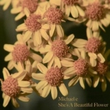 Michael E - Shes a Beautiful Flower '2022 - Album