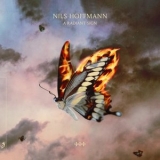 nils hoffmann - A Radiant Sign '2022