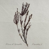 Hawktail - Place of Growth '2022 - Album