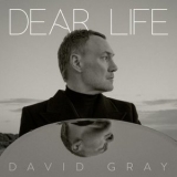 David Gray - Dear Life '2025