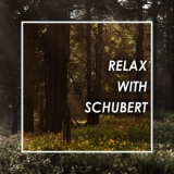 Franz Schubert - Relax With Schubert '2021 - Album