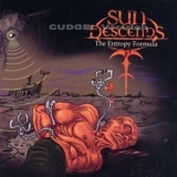 Sun Descends - The Entropy Formula '2008