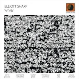 Elliott Sharp - Syzygy '2019