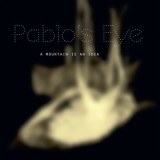 Pablo's Eye -  A Mountain Is an Idea '2022