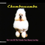 Chumbawamba - She's Got All The Friends That Money Can Buy '2000