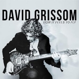 David Grissom - How It Feels To Fly '2014 - Album