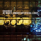 Ginormous - At Night, Under Artificial Light '2008