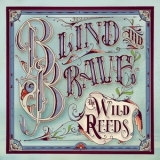 The Wild Reeds - Blind and Brave '2014